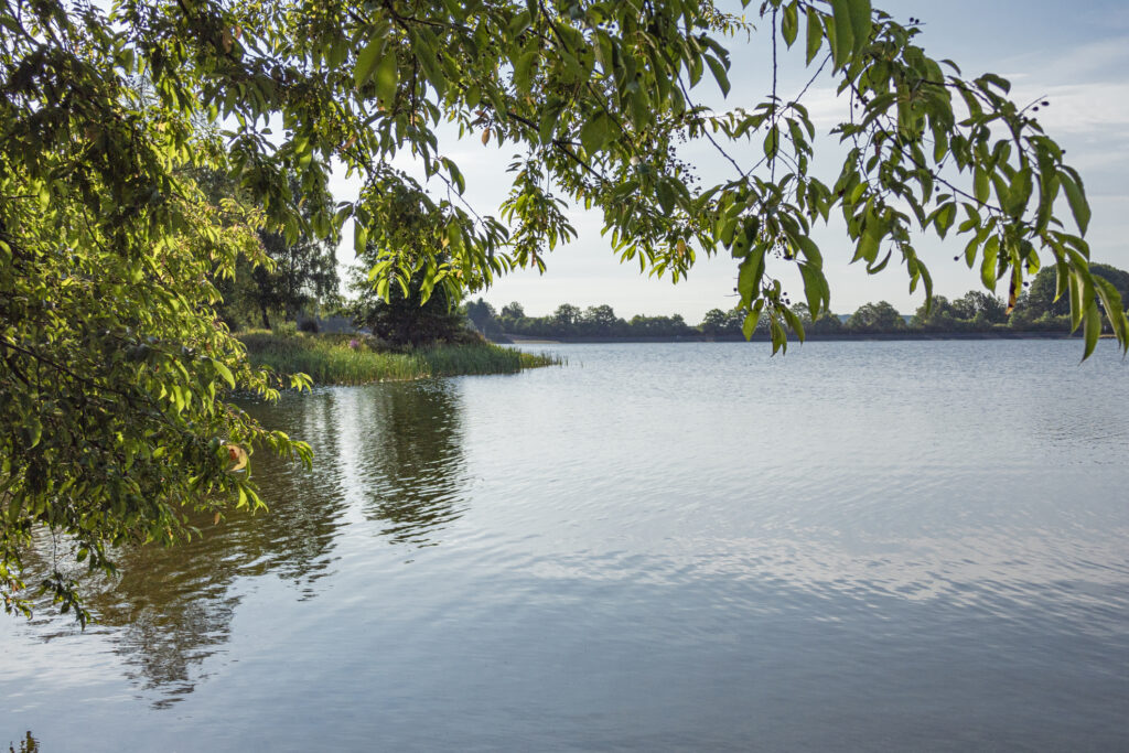 Blick auf einen See im Saarland, der Losheimer Stausee