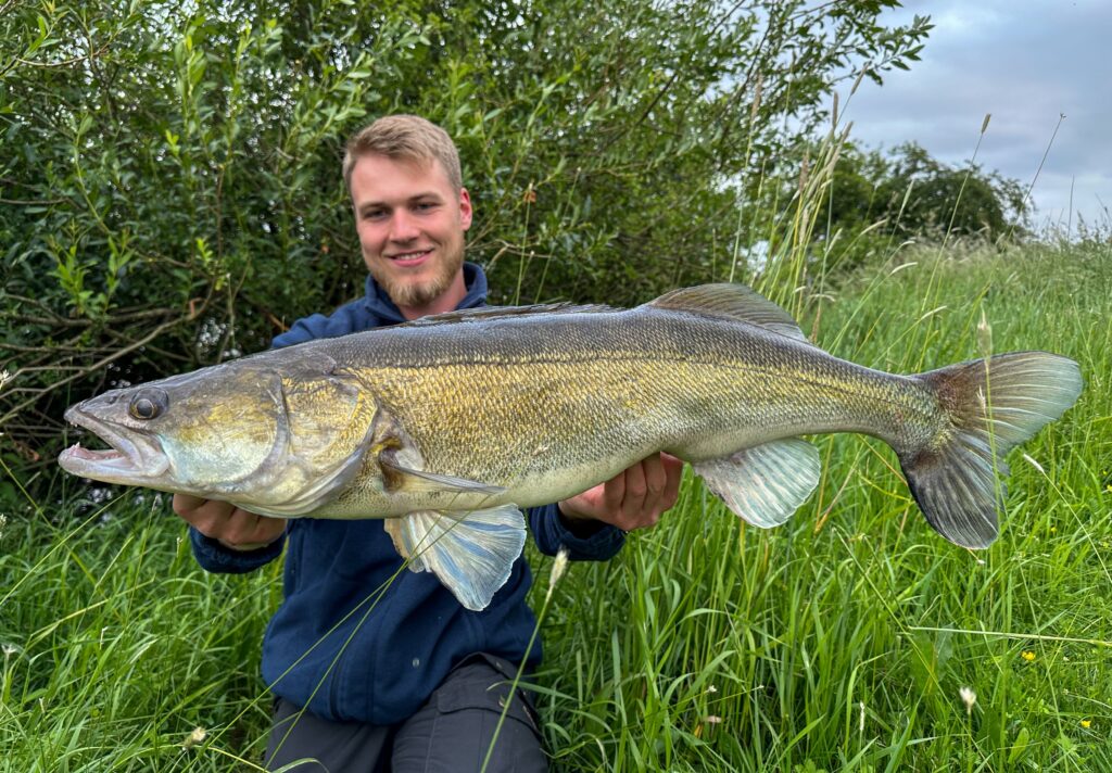 Ein Angler pr&auml;sentiert einen vom Ufer gefangenen Zander in die Kamera.