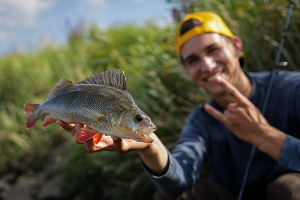 Ein Angler pr&auml;sentiert einen Barsch in die Kamera, der Angler tr&auml;gt eine gelbe M&uuml;tze.