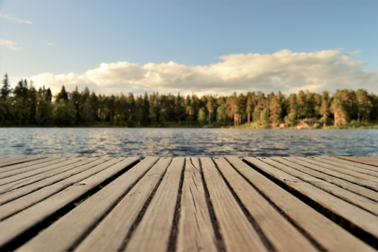 Ein Holzsteg an einem Gewässer mit einem Wald im Hintergrund.