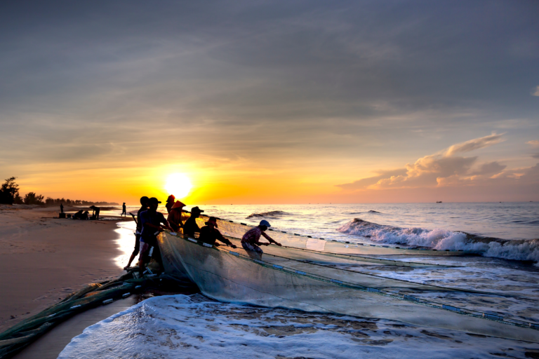 Mehrere Personen beim Angeln mit Netz am Meer.