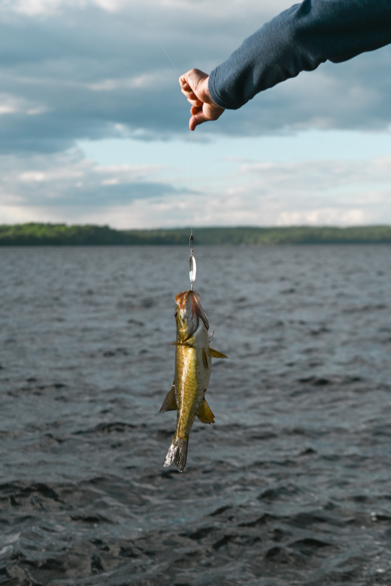 Fisch an der Angel - Entspanntes Angeln am See mit Angelrute und Angelzubehör.