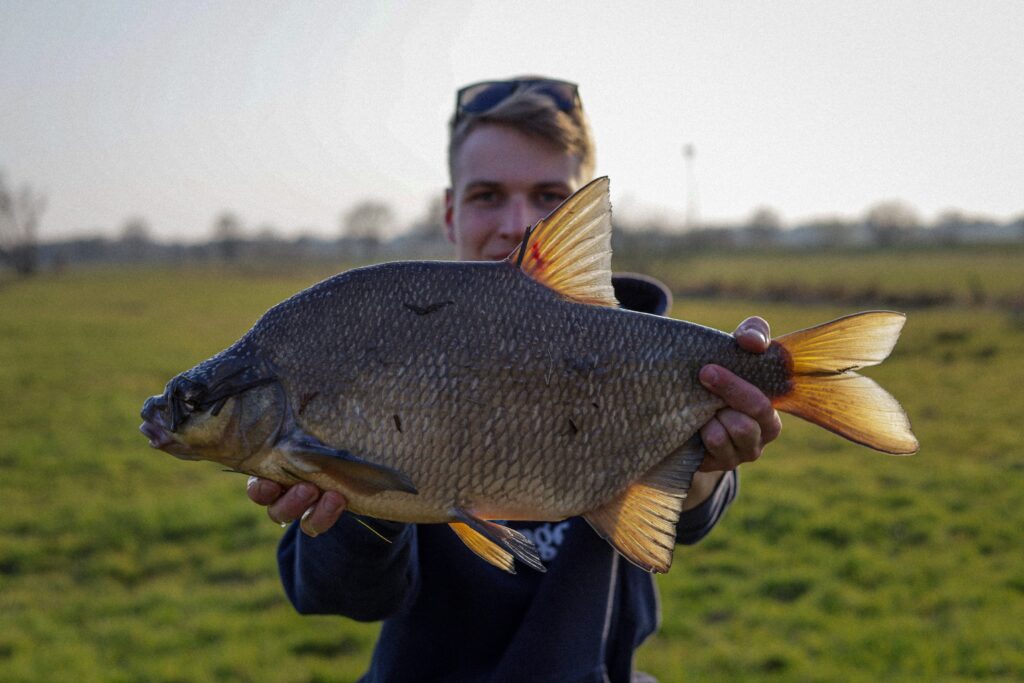 Ein Angler pr&auml;sentiert eine Brasse in die Kamera.