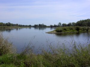 Angler werden - Ein See, welcher umgeben ist von grünen Büschen und Sträuchern.