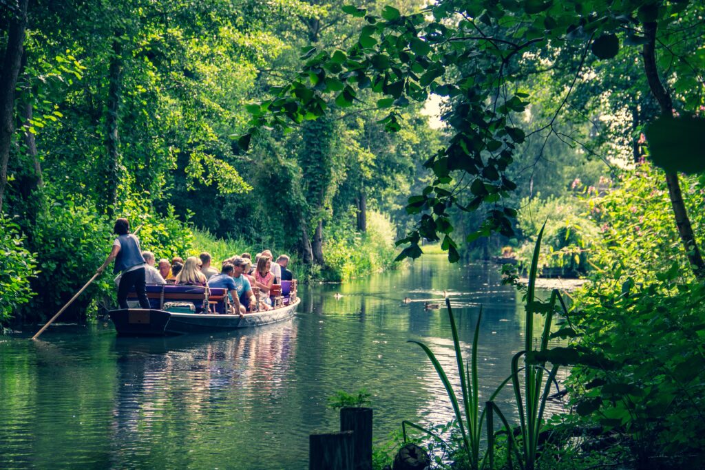 Ein Boot mit einer Gruppe von Leuten, die auf einem Fluss umgeben von einem Wald fahren.